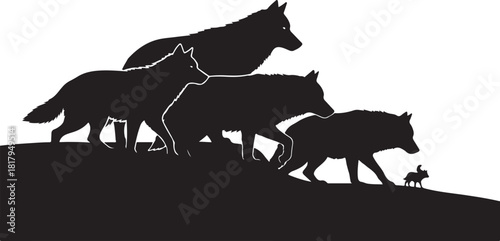 Wolf pack and small pup walking on a ridge, isolated.