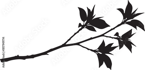 Silhouette of a leafy branch on a clean white background