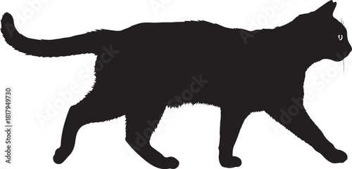 Black cat silhouette walking gracefully, domestic feline.