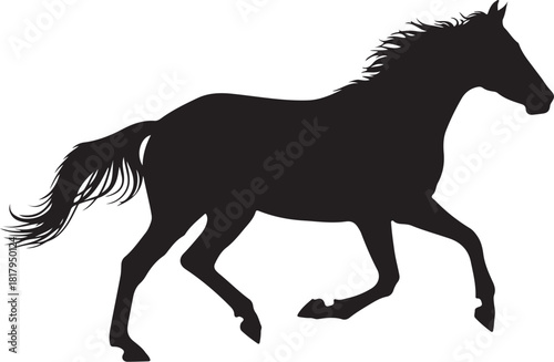 Galloping horse silhouette vector illustration graphic art