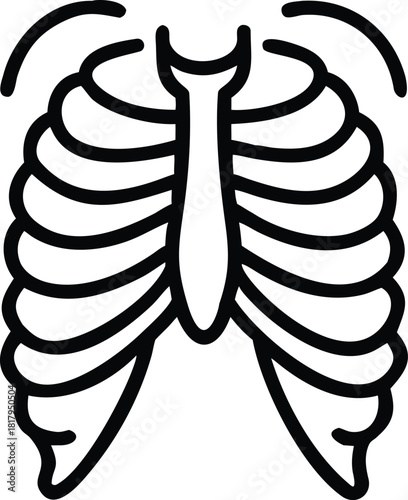 a simplified illustration of a human rib cage. 