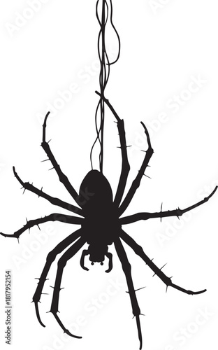 Black silhouette of a spider hanging on a thread vector