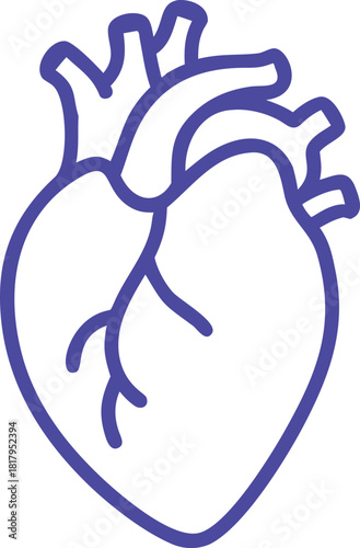 a vector illustration of a human heart. blue outline or line art vector