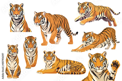 Golden Bengal Tiger with Amber Eyes Multi Pose Collection Flat Vector Illustration with Detailed Fur on White Background