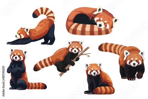 Red Panda Illustration in Flat Vector Style with Detailed Fur on White Background