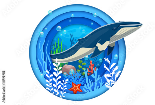 Paper cut underwater landscape with cartoon blue whale in seaweeds, vector banner. Ocean undersea or sea underwater life with cartoon whale, starfish and algae of coral reef in paper cut water frame