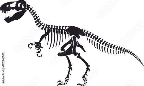 Tyrannosaur dinosaur skeleton bones. Jurassic era reptile paleontology museum fossil isolated vector, paleontology lizard skeleton silhouette . Prehistoric animal bones or