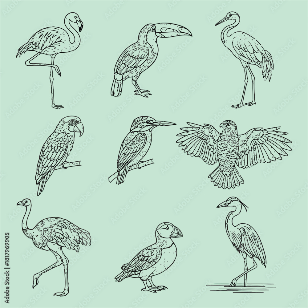 Naklejka premium Collection of diverse bird species line art