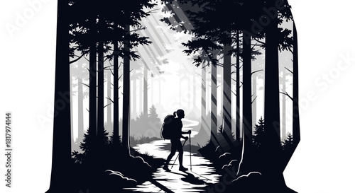 Lone hiker treks through sun-dappled forest trail seeking adventure and nature's tranquility.