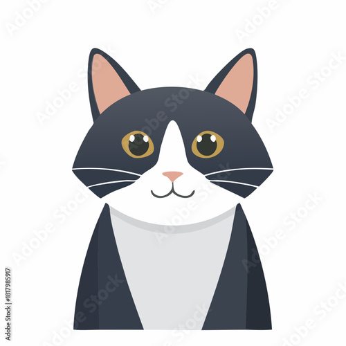 Charming tuxedo cat illustration on a pristine white backdrop creating a cheerful vibe