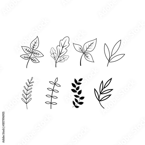 Collection of unique hand drawn leaves, vector illustrations