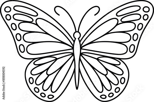 Black outline of a butterfly with symmetrical wings and oval patterns insect black and white