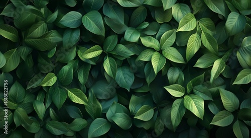 Various Types of Green Leaves in a Lush Arrangement With Varying Shades of Fo...