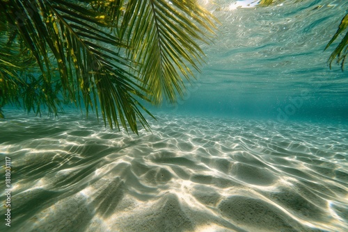 Clear Blue Water Under Palm Trees With Shimmering Light in a Tropical Paradise