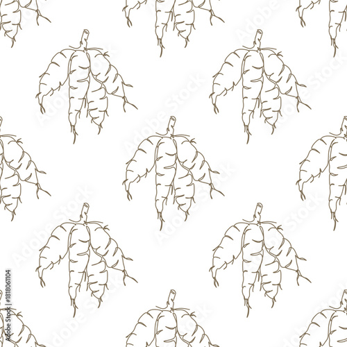 Outline cassava root seamless pattern. Farming and gardening background design for wallpaper, fabric, textile, print, wrapping paper or package design.
