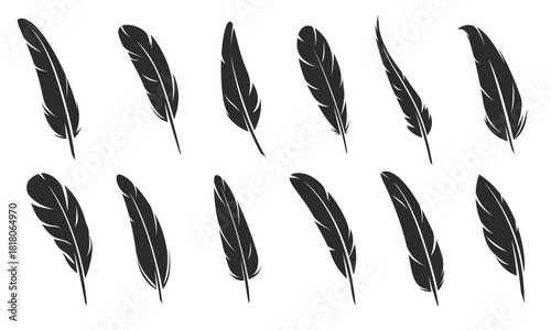 quill feather icons bird plume silhouettes