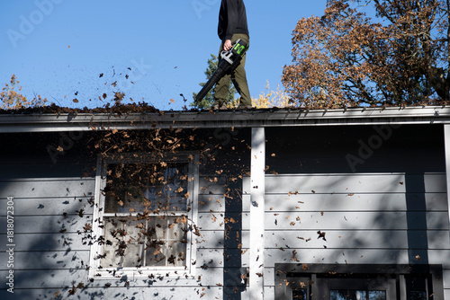 Cuadro en lienzo Man walks along roof line to remove leaves and debris from the gutter of a suburban home on a fall day
