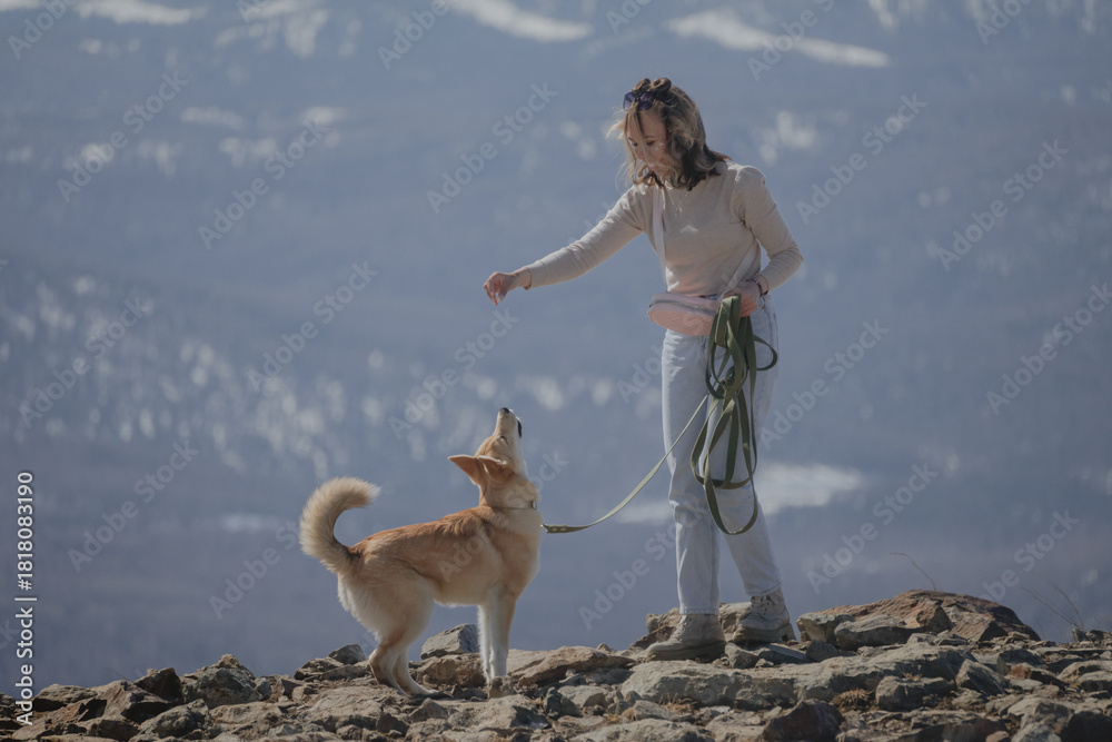 Φωτογραφία Dog obedience through reward, dog follows treat on top of mountain