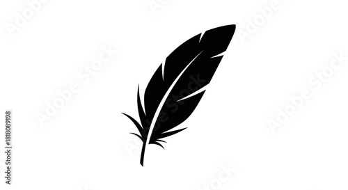 Black feather with transparent background
