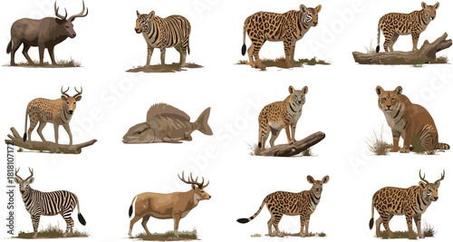 Wild animal illustration, natural habitat, tiger, deer, leopard, zebra, fish, forest scene, grass, log, wildlife diversity, nature art, realistic style