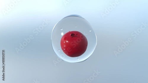 Fresh Cranberry Inside Clear Water Droplet Floating in the Air on Light Blue Background

