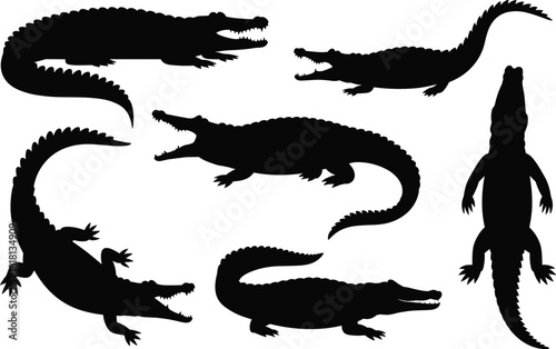Crocodile silhouette illustration set, open mouth and crawling poses, reptile icons, wildlife graphic, nature symbol, swamp design elements