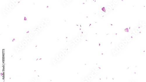 Cherry petals falling overlay with sakura petals falling 4K, pink petals animation white background, autumn leaves flutter down fall season and orange leaves falling