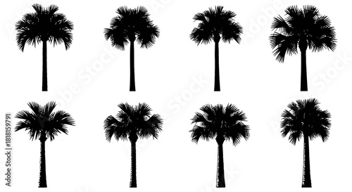 Abstract vector design with geometric shapes and lines on a rectangular canvas