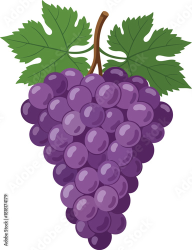 Vibrant ripe red grape bunch with green leaves healthy fruit harvest food ingredient vector