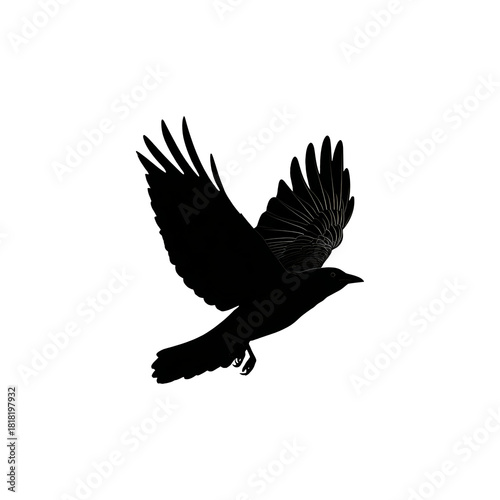 Crow flying silhouette, transparent background, vector icon style, clean minimal, isolated object