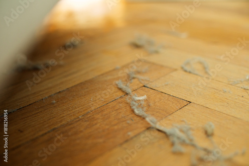 Dust nad dirt under the bed, colonies of dust on wooden floor, balls of dust in untidy house