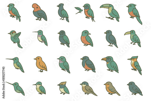Cartoon illustrations of tropical and woodland birds