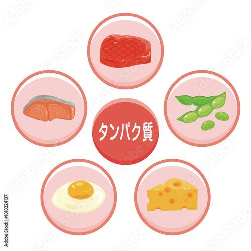 様々なタンパク質を多く含む食品のイラストセット　日本語／Foods High in Protein Illustration Set – Japanese