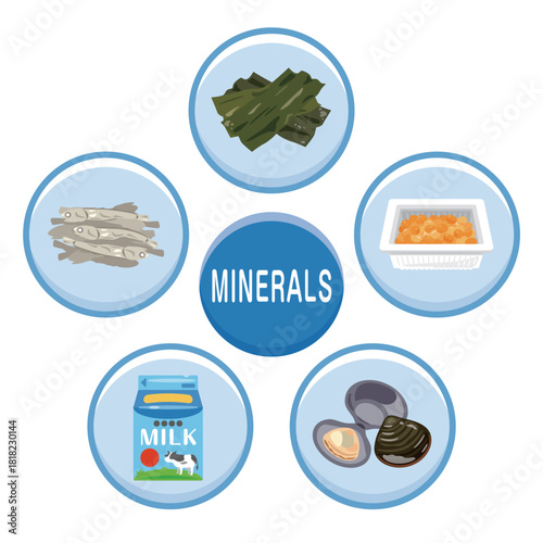 様々なミネラルを多く含む食品のイラストセット　英語／Foods Rich in Minerals Illustration Set – English
