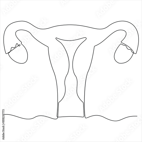 Continuous one line drawing of woman uterus ovary and female reproductive system in simple linear style  for logo and web banner