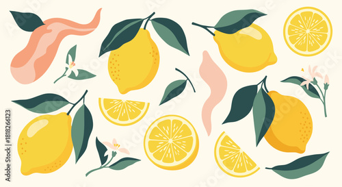 A fresh and modern collection of lemon illustrations with leaves flowers and abstract shapes isolated on a light background.
