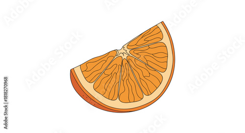 Detailed illustration of a single juicy wedge of a fresh orange fruit showing its segments and pulp on a white background.