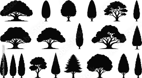 Collection of various tree silhouettes featuring oak, pine, cypress and decorative landscape trees for nature illustrations, garden design and outdoor artwork