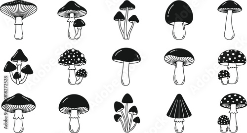 Collection of hand-drawn mushroom illustrations featuring various fungi species, botanical forest elements, edible and wild mushrooms for nature and organic design projects