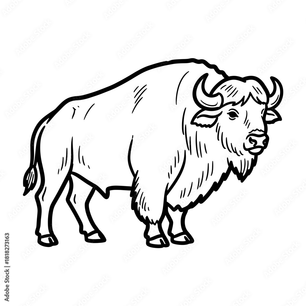 Obraz premium A majestic American bison, depicted in a striking black and white line art illustration, stands proudly, showcasing its powerful form and iconic horns.