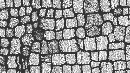 Black and white wood grain texture pattern with irregular shapes vector