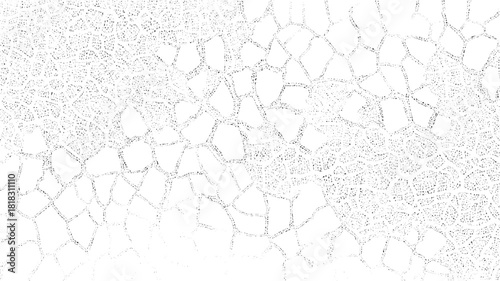 Black and white cracked pattern with irregular polygonal shapes and stippled texture abstract background