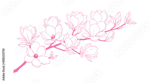 A colorful, hand-drawn vector image of a blooming magnolia tree branch

