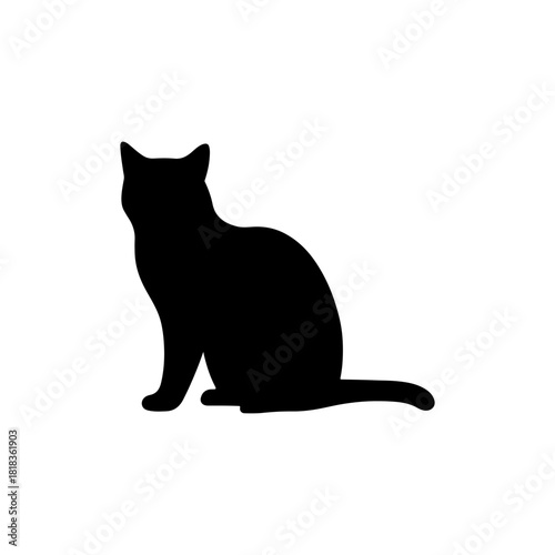 Black and white cat animal silhouette
