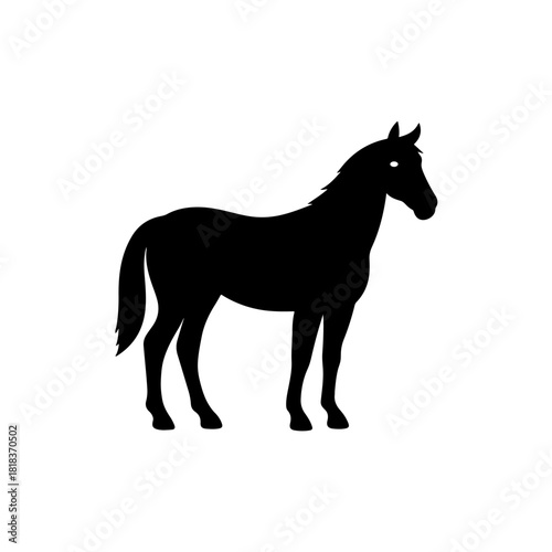 Horse animal silhouette illustration isolated on white background