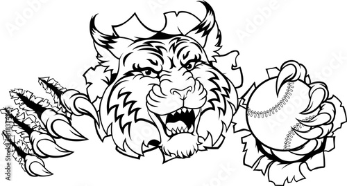 A wildcat or bobcat animal baseball or softball sports team cartoon mascot