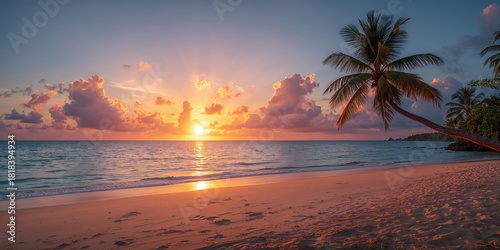 Fototapeta Naklejka Na Ścianę i Meble -  White spring blossoms on a sour cherry tree, emphasizing seasonal bloom for horticultural observation