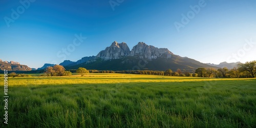 Fototapeta Naklejka Na Ścianę i Meble -  Four limes in a cup placed on a mat in a kitchen setting, emphasizing fresh ingredients for summer cooking, Earth Day