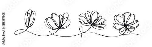 Continuous line drawing of evolving flowers, from bud to full bloom, suitable for botanical decoration, spring themes, wellness concepts, or natural growth visuals