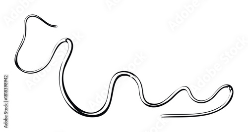 Curvy flowing black line graphic useful for creating dynamic abstract background compositions and contemporary visual branding elements or digital content.